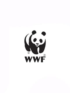 https://parcs-madagascar.com/wp-content/uploads/2024/08/p27.jpg