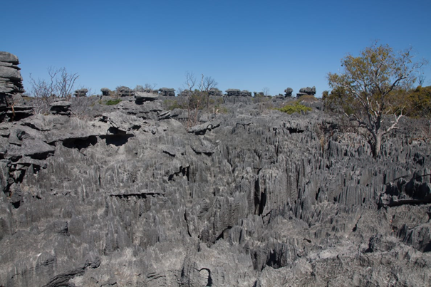 https://parcs-madagascar.com/wp-content/uploads/2025/04/1-2.png