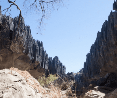 https://parcs-madagascar.com/wp-content/uploads/2025/04/2-2-407x342.png