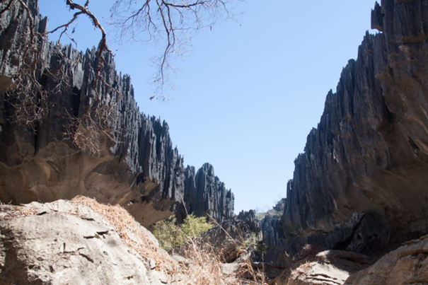 Tsingy de Namoroka