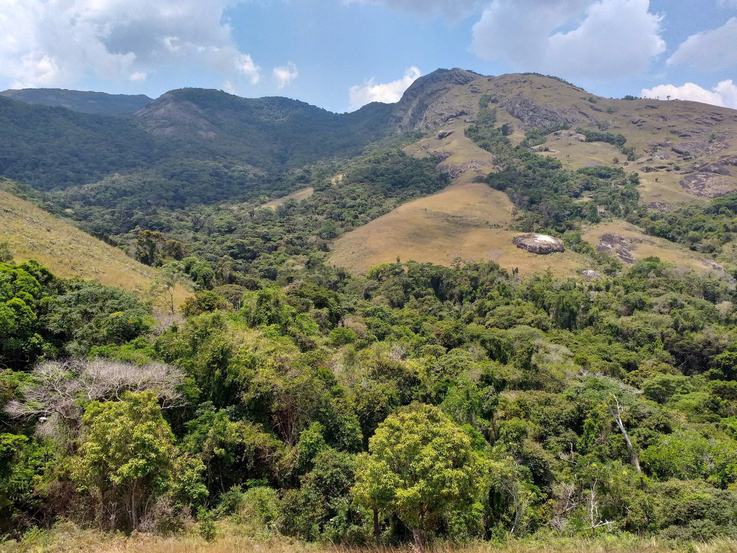 Pic d’Ivohibe