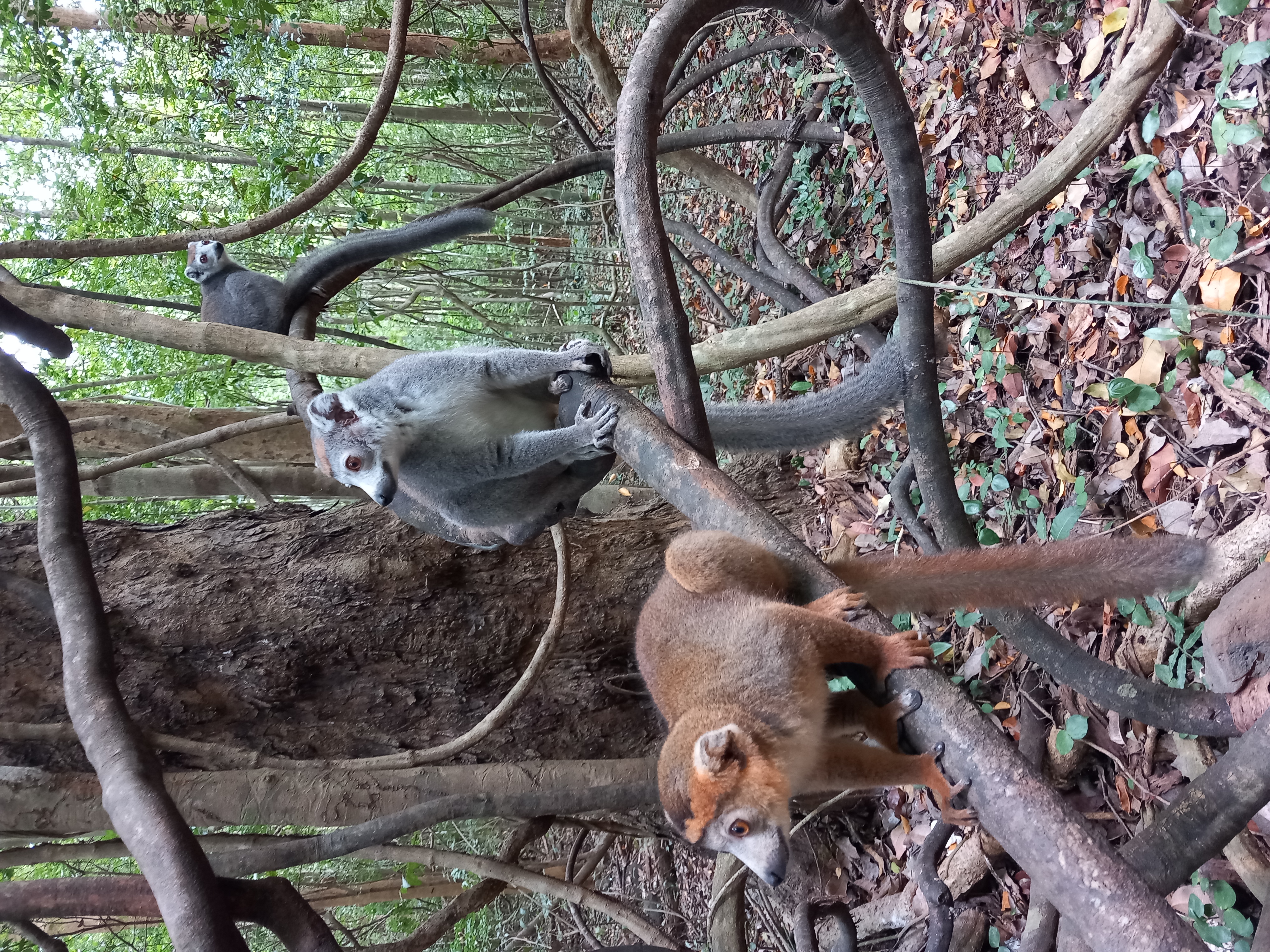 https://parcs-madagascar.com/wp-content/uploads/2025/04/20230803_125405.jpg