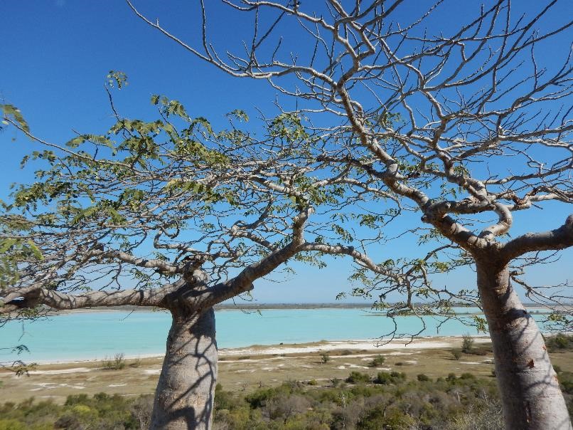 https://parcs-madagascar.com/wp-content/uploads/2025/04/3a.jpg
