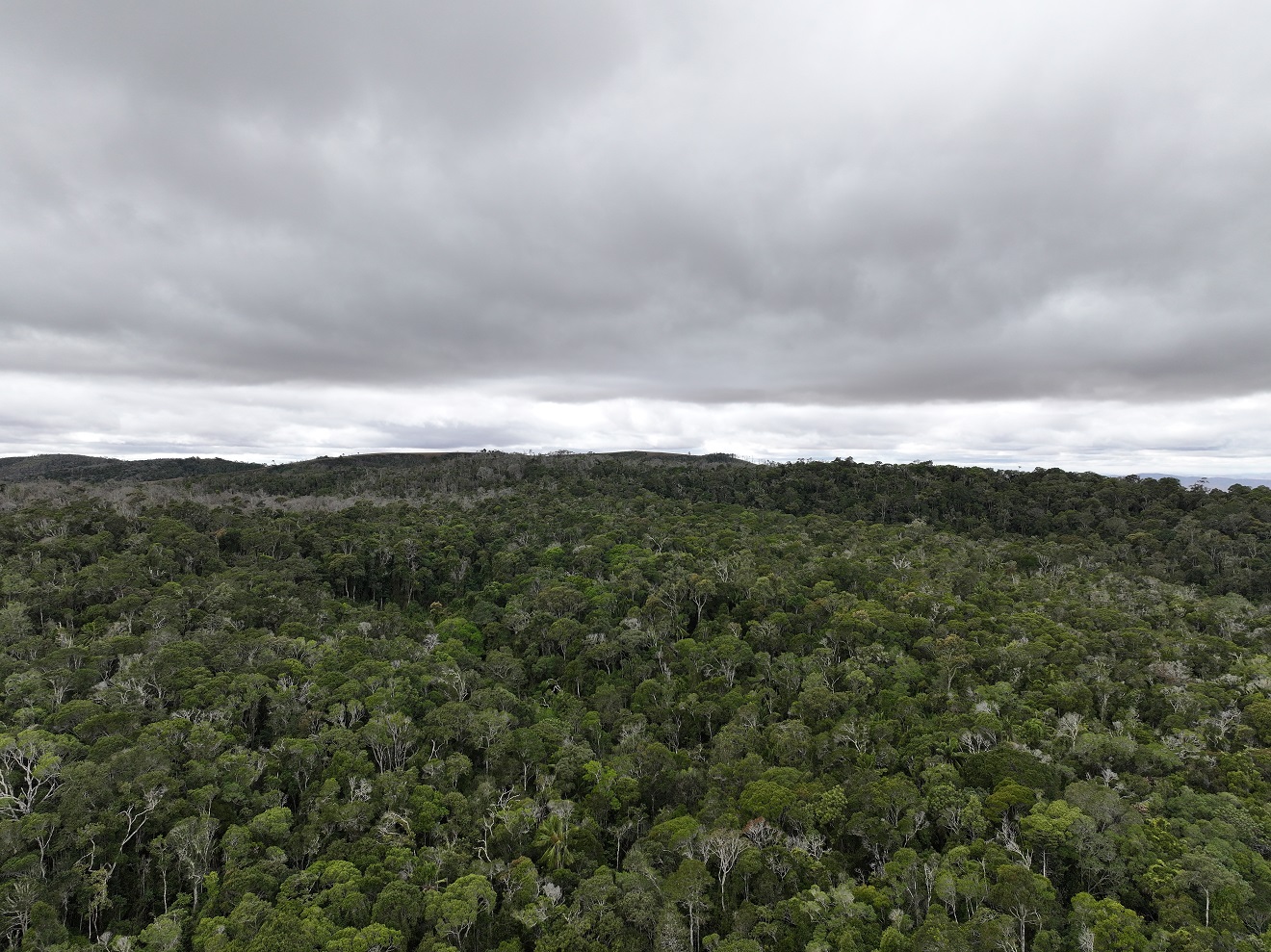 https://parcs-madagascar.com/wp-content/uploads/2025/04/DJI_20250614100108_0059_D_resize25p.jpg
