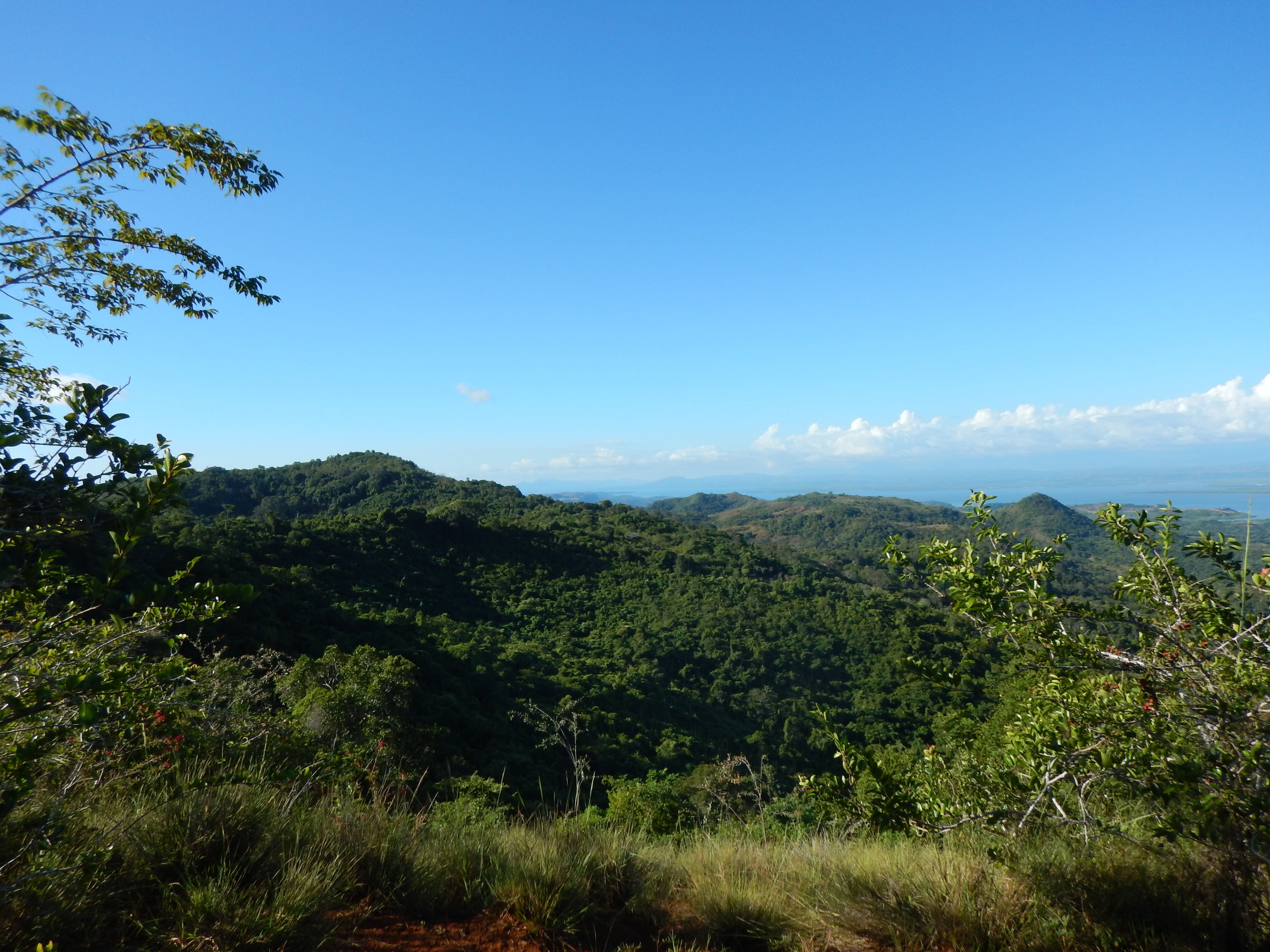 https://parcs-madagascar.com/wp-content/uploads/2025/04/DSCN0005-min.jpg