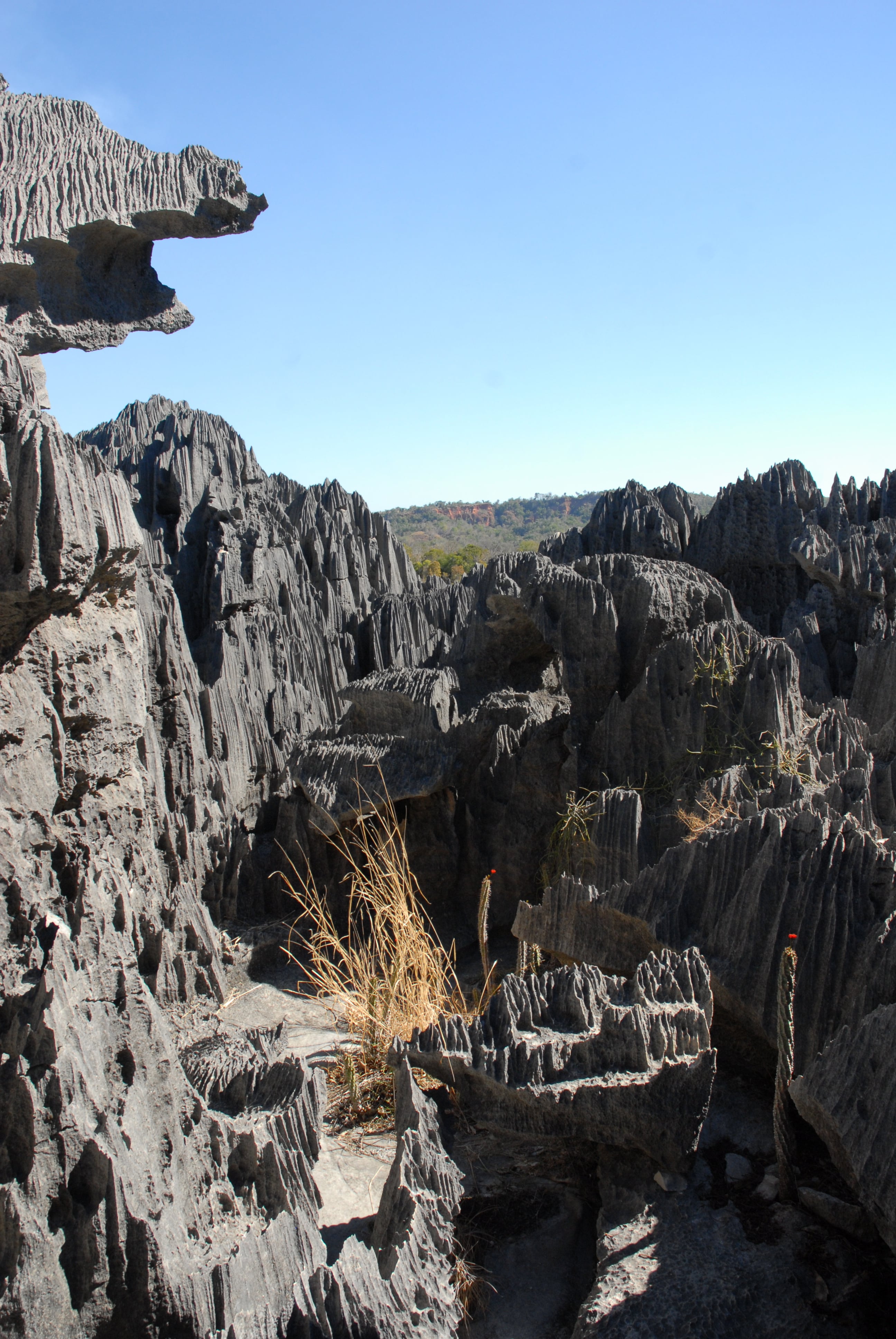 https://parcs-madagascar.com/wp-content/uploads/2025/04/DSC_0457-min.jpg