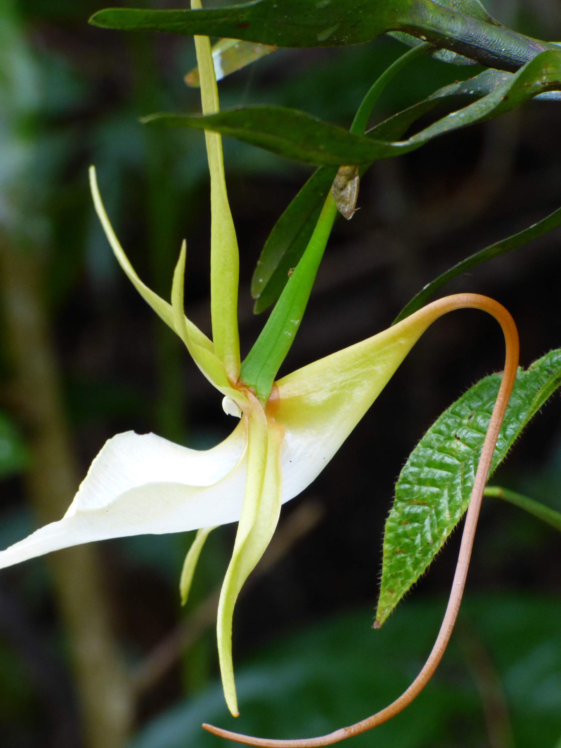 https://parcs-madagascar.com/wp-content/uploads/2025/04/FBP1000305.jpg