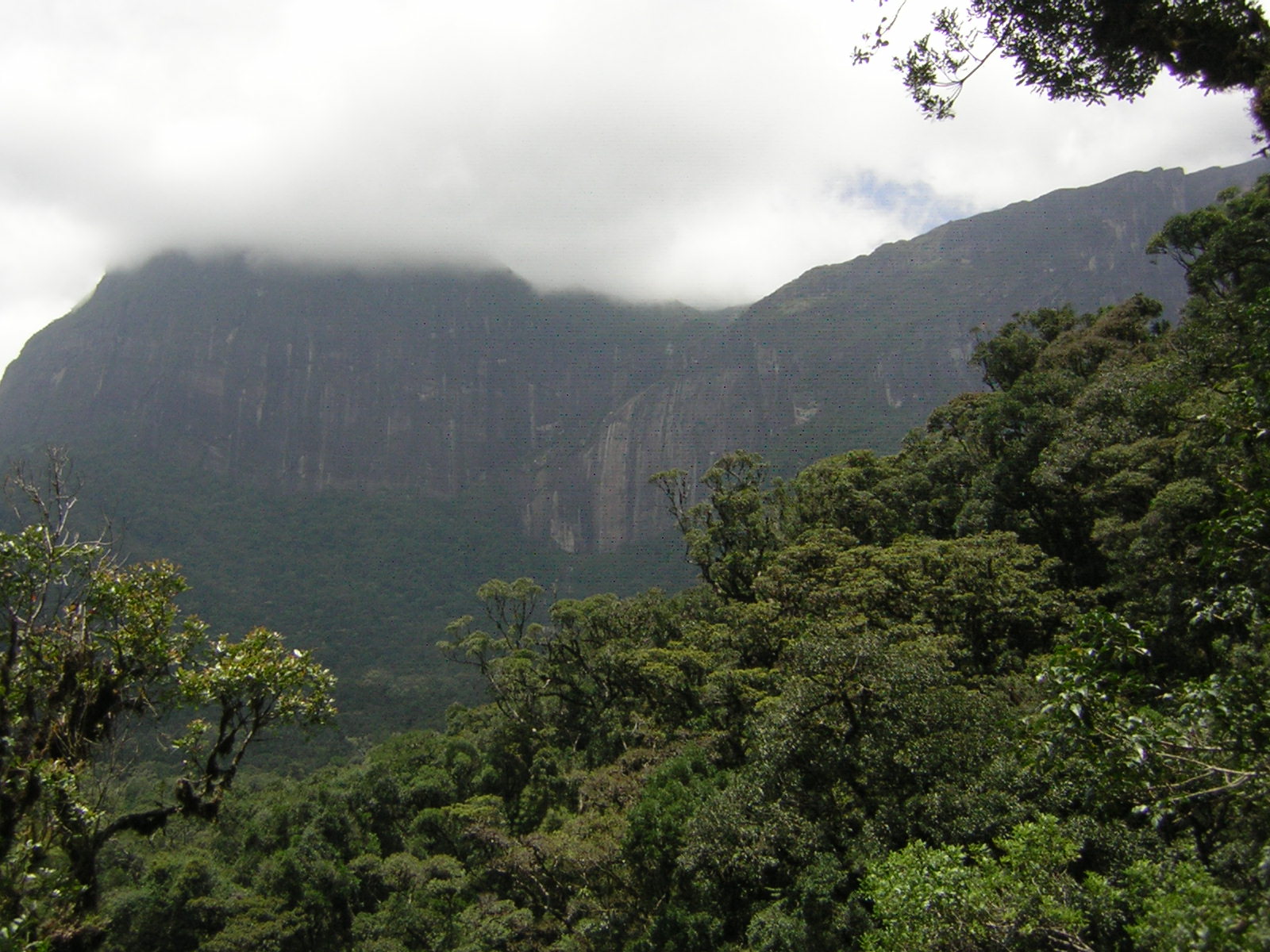 https://parcs-madagascar.com/wp-content/uploads/2025/04/FORET-HUMIDE-2.jpg