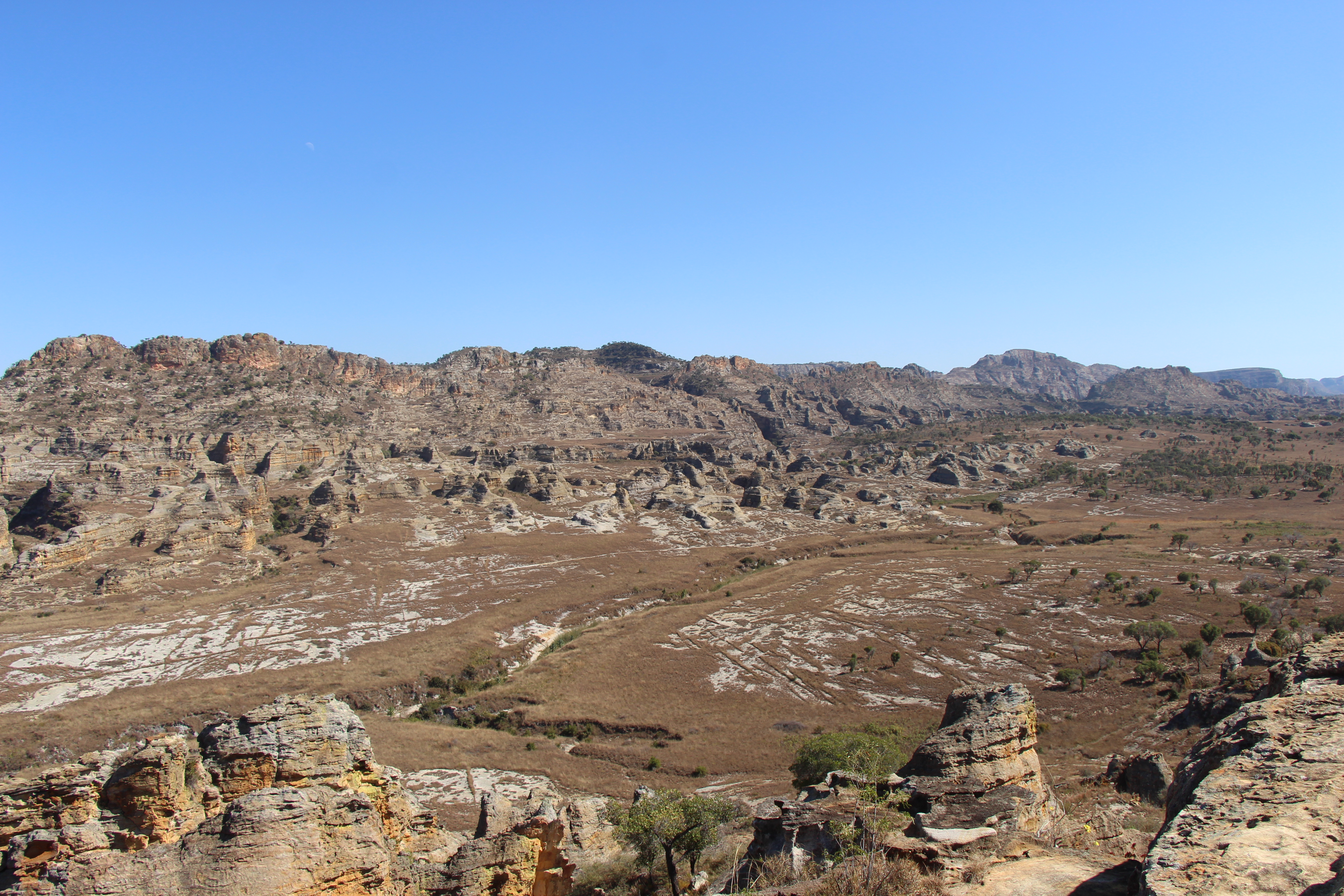 https://parcs-madagascar.com/wp-content/uploads/2025/04/IMG_1369.jpg