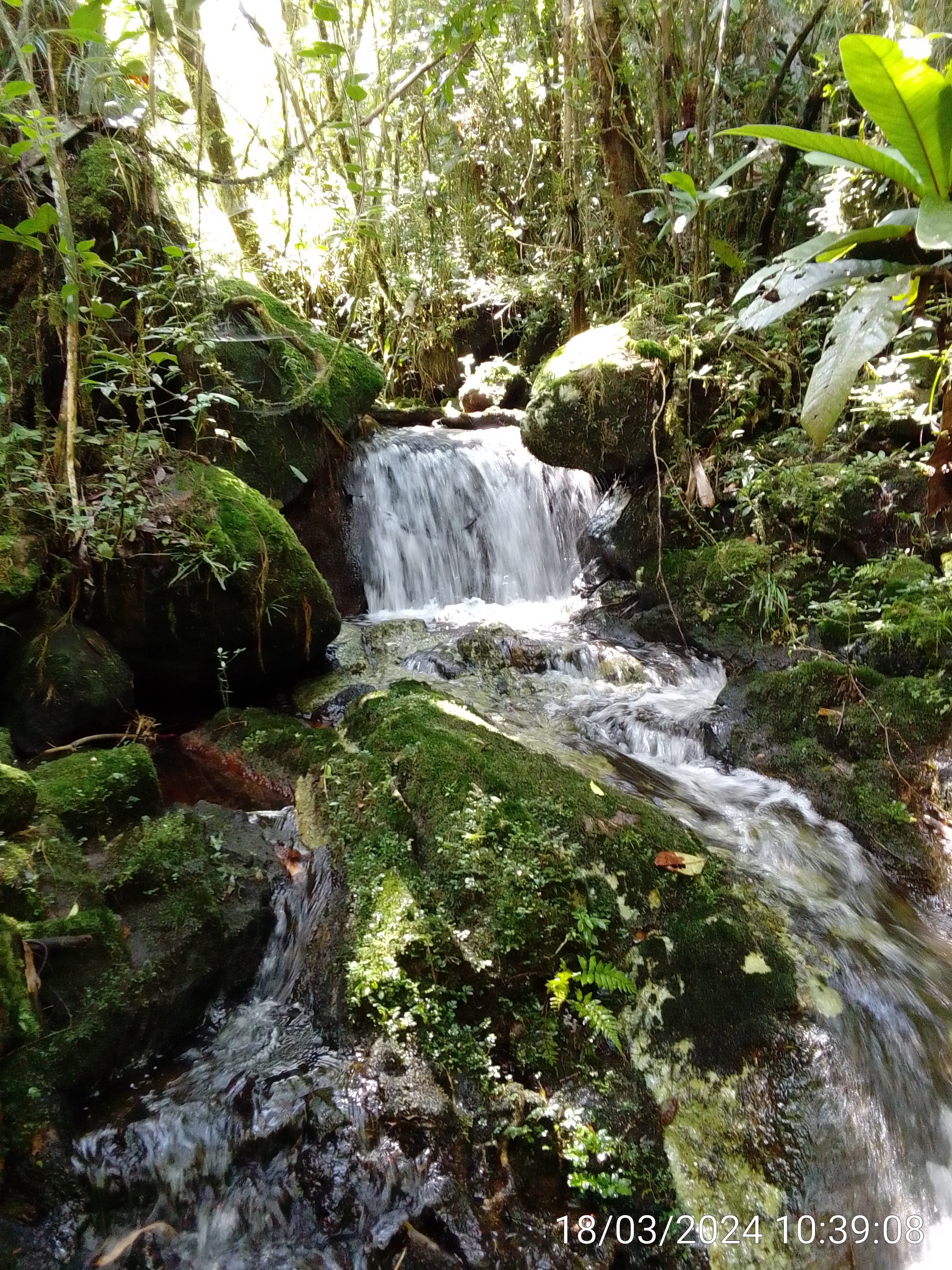 https://parcs-madagascar.com/wp-content/uploads/2025/04/IMG_20240318_103908-1.jpg