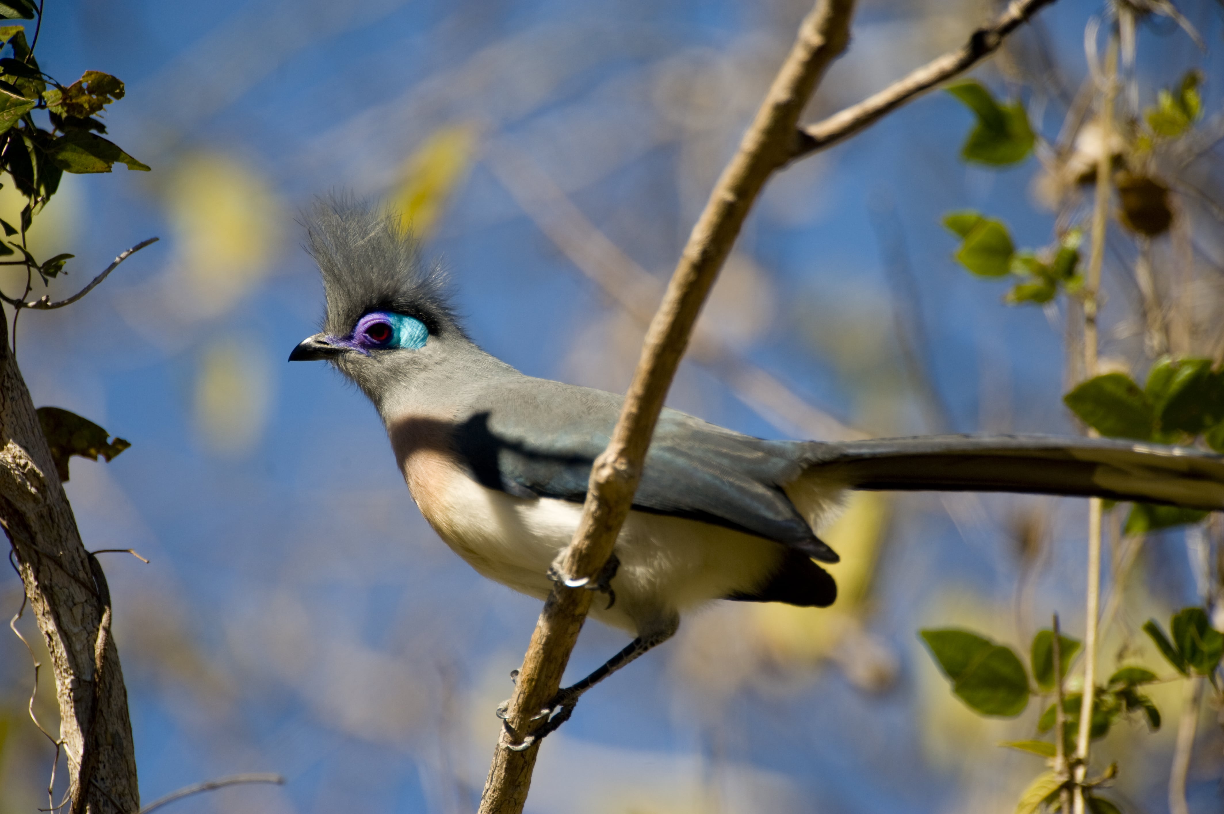 https://parcs-madagascar.com/wp-content/uploads/2025/04/Inaki-Relanzon-photosfera.com-Baie-de-Bali-and-Namoroka-007-min.jpg