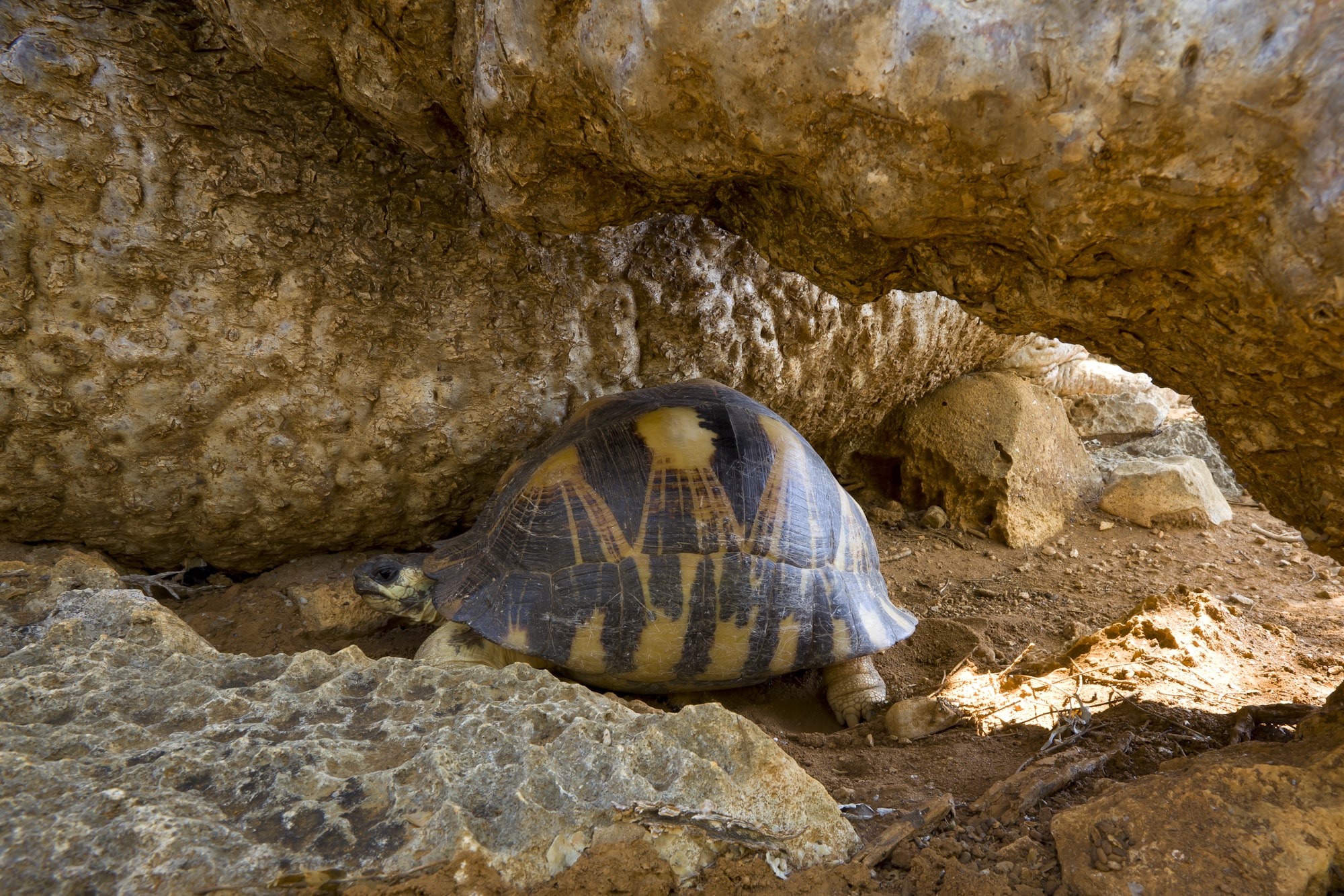 https://parcs-madagascar.com/wp-content/uploads/2025/04/MG_4184-min.jpg