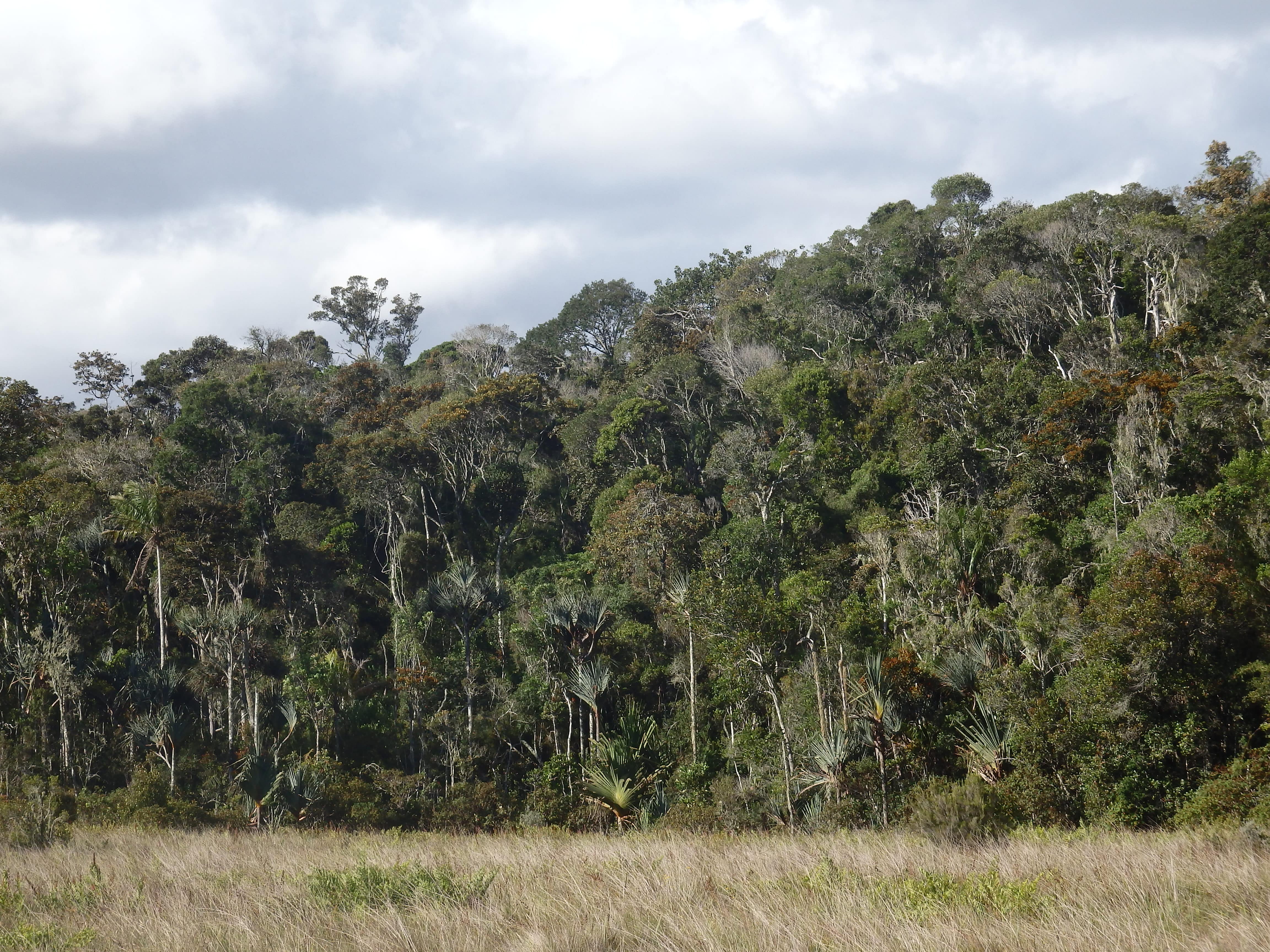 https://parcs-madagascar.com/wp-content/uploads/2025/04/P1210022-min.jpg