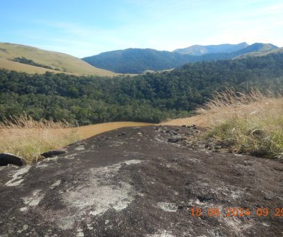 https://parcs-madagascar.com/wp-content/uploads/2025/04/Paysage-dans-la-Reserve-1-min-407x342.jpg