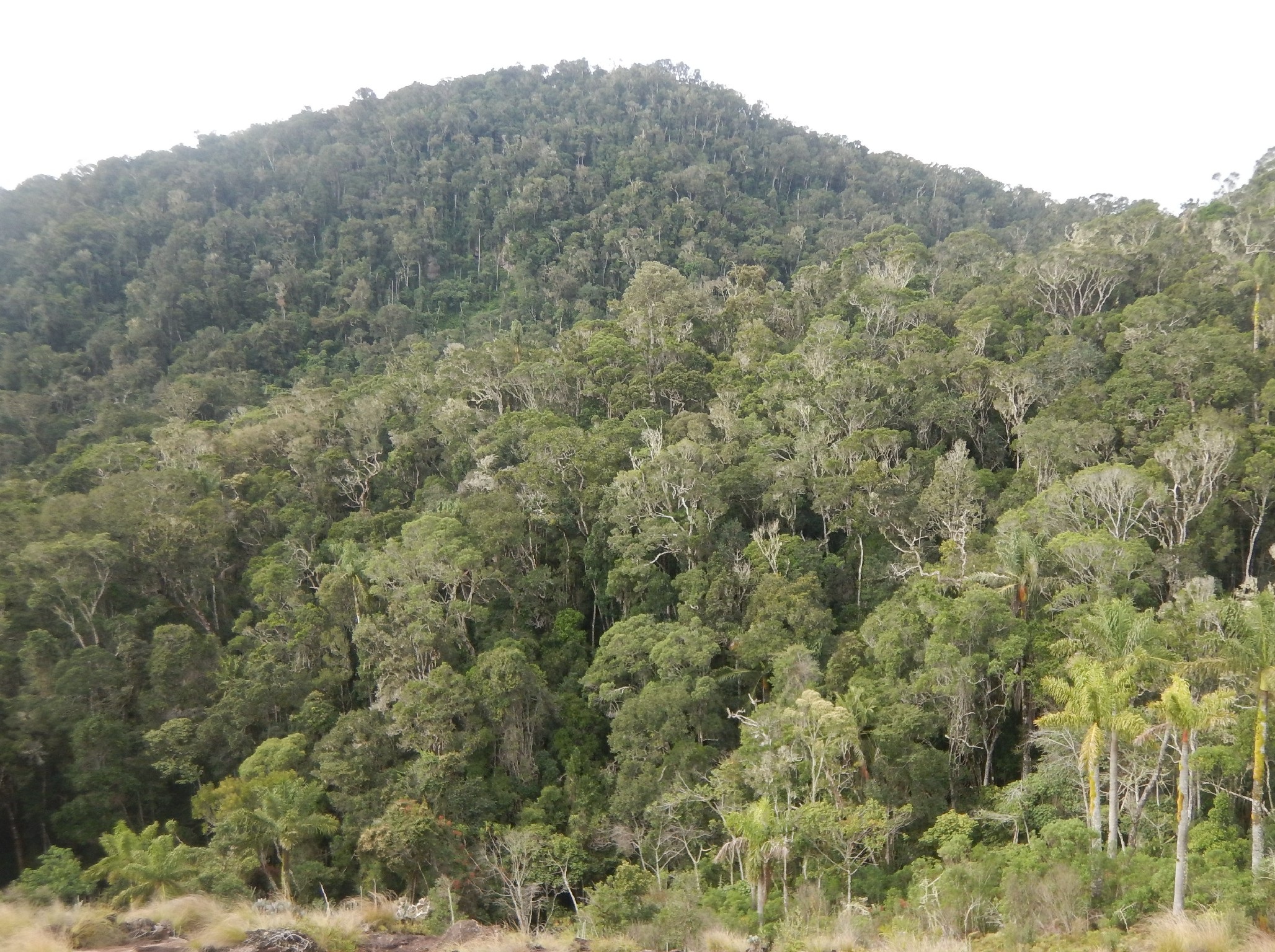https://parcs-madagascar.com/wp-content/uploads/2025/04/Paysage-dans-la-Reserve-3.jpg