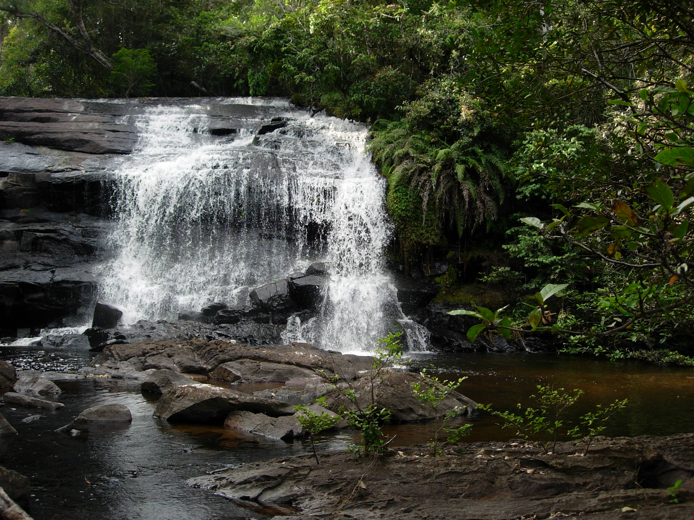 https://parcs-madagascar.com/wp-content/uploads/2025/04/Rianamalandy-1.jpg