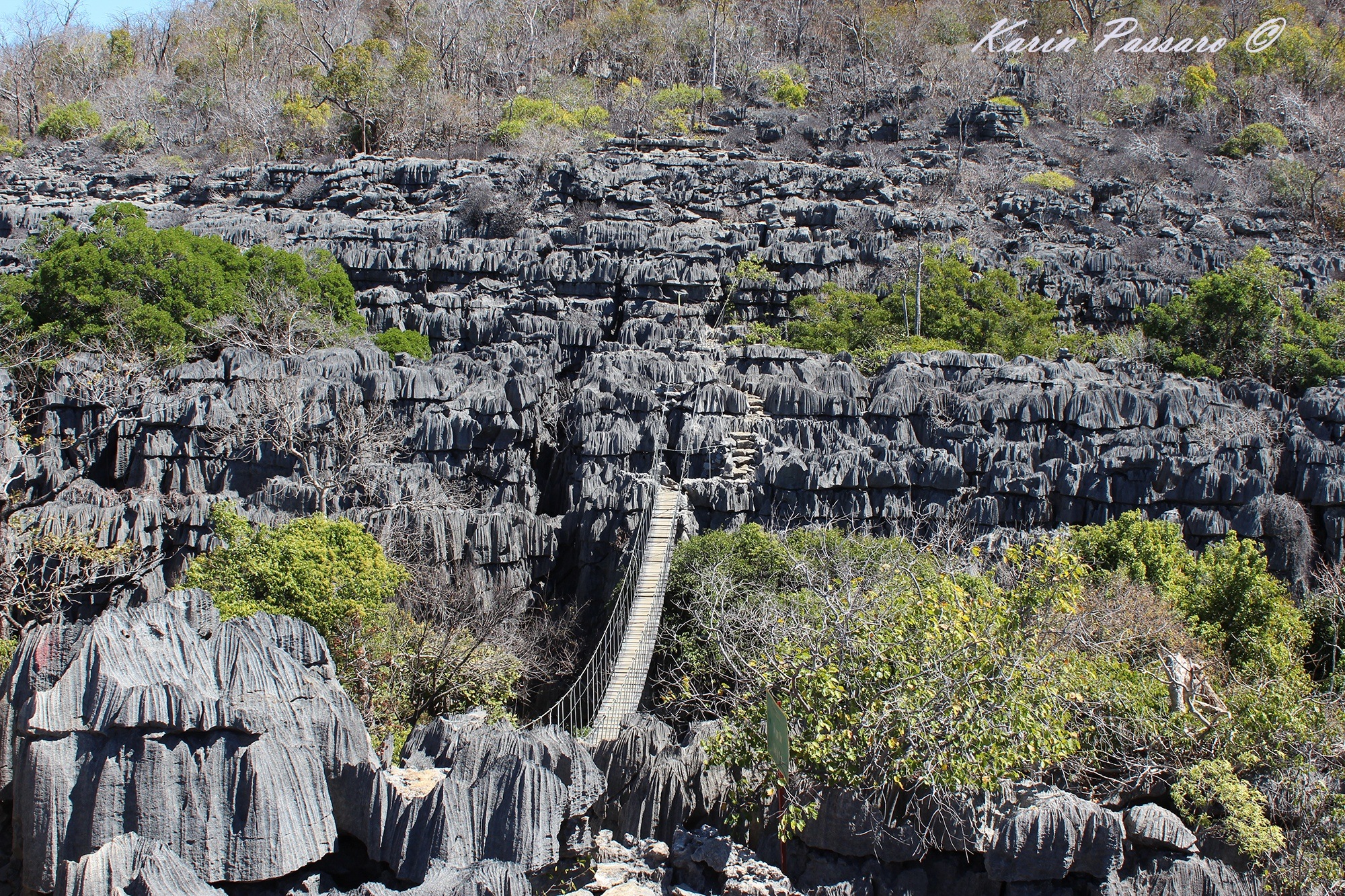 https://parcs-madagascar.com/wp-content/uploads/2025/04/ank2.jpg