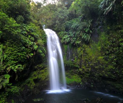 https://parcs-madagascar.com/wp-content/uploads/2025/04/chute-deau-MDA-407x342.jpg