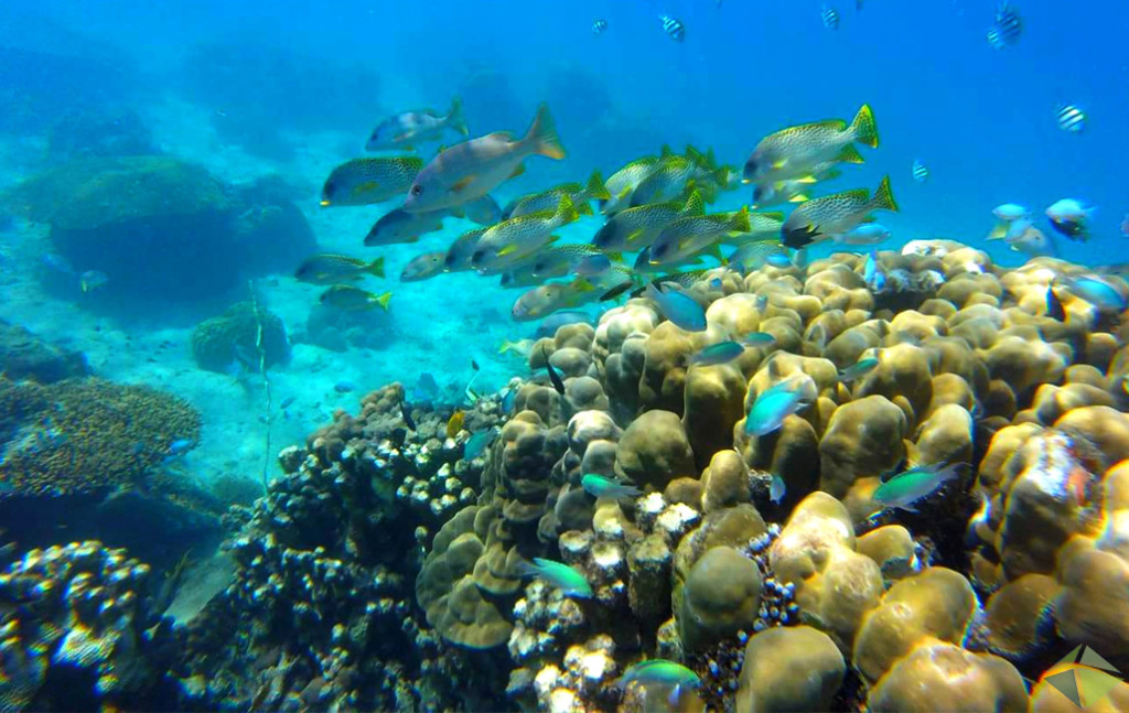 https://parcs-madagascar.com/wp-content/uploads/2025/04/decouverte-nosy-be-9-1024x647-1.jpg