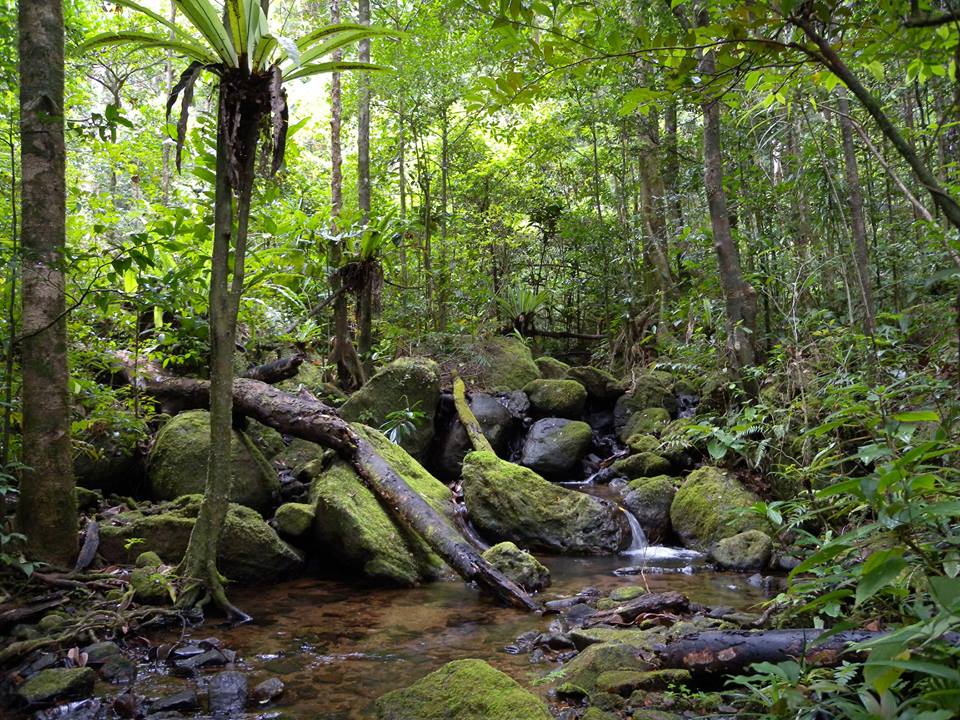 https://parcs-madagascar.com/wp-content/uploads/2025/04/fb1-3.jpg