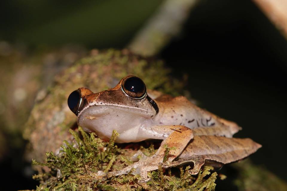https://parcs-madagascar.com/wp-content/uploads/2025/04/fb2.jpg