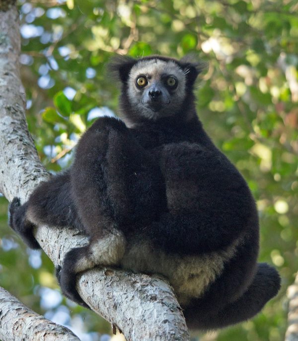 https://parcs-madagascar.com/wp-content/uploads/2025/04/manongarivo3.jpg