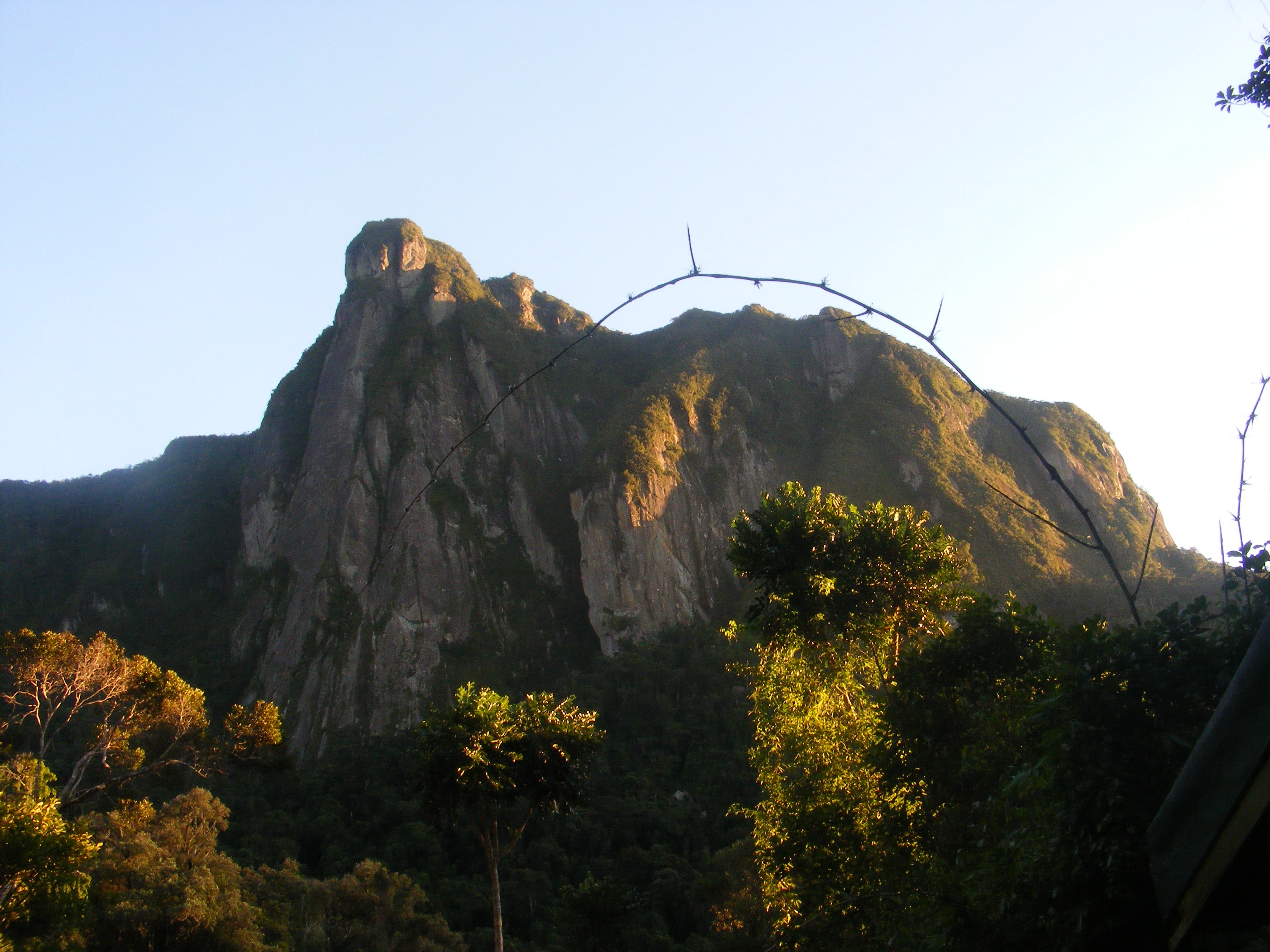 https://parcs-madagascar.com/wp-content/uploads/2025/04/paysage-marojejy-min.jpg