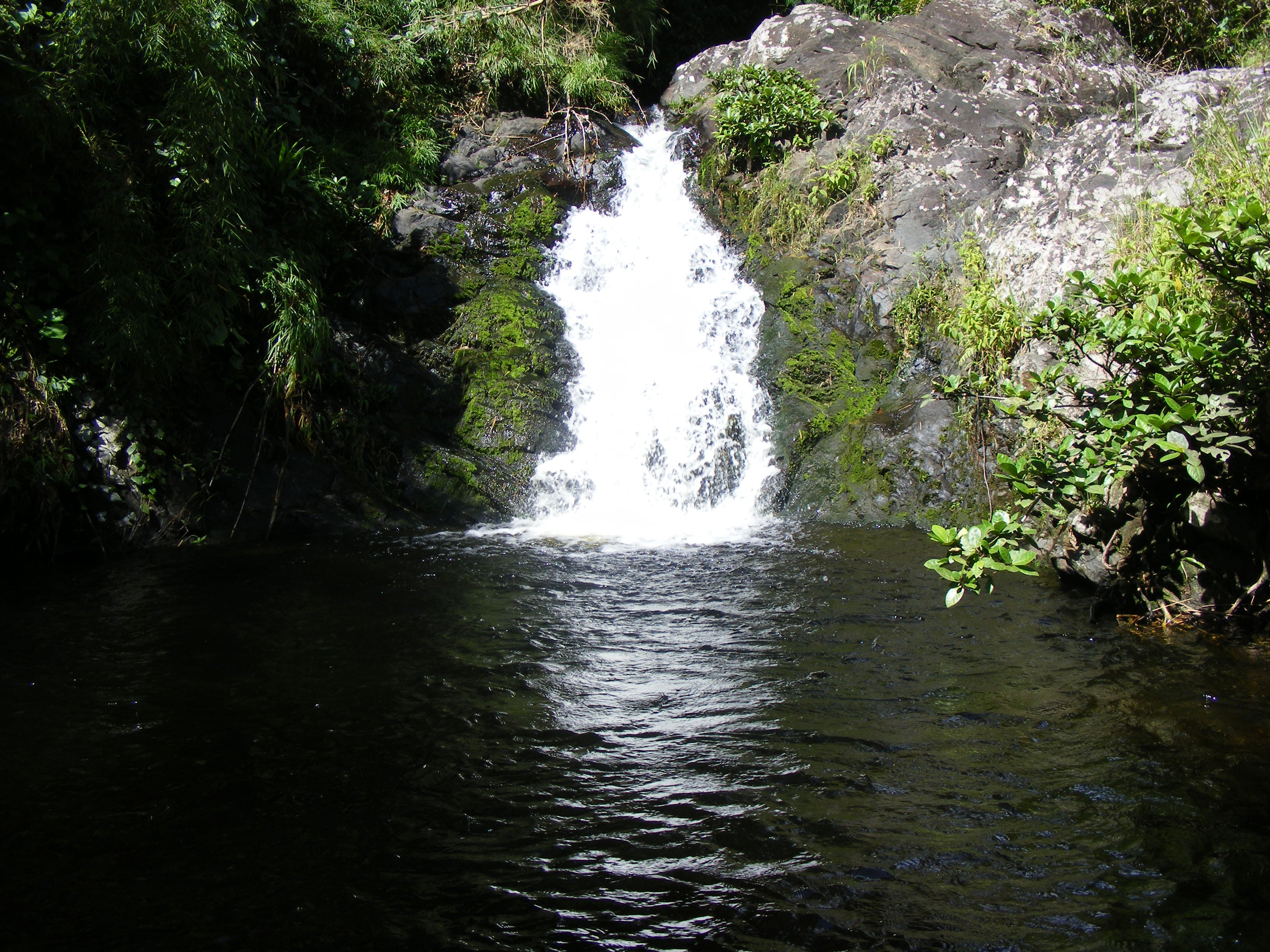 https://parcs-madagascar.com/wp-content/uploads/2025/04/piscine-naturelle-marojejy-min.jpg