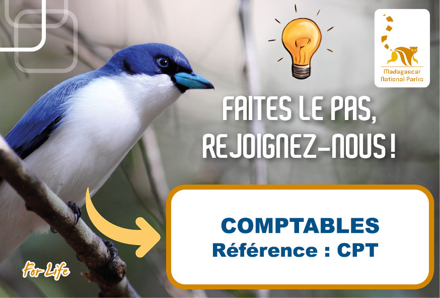 RECRUTEMENT DE COMPTABLES (Ref : CPT)