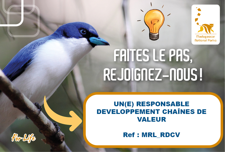 RECRUTEMENT UN(E) RESPONSABLE DEVELOPPEMENT CHAÎNES DE VALEUR (Ref : MRL_RDCV)