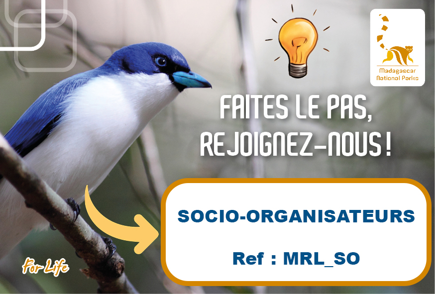 RECRUTEMENT SOCIO-ORGANISATEURS (Ref : MRL_SO)