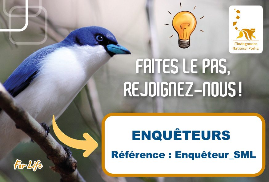 RECRUTEMENT ENQUÊTEURS (REF : Enquêteur_SML)