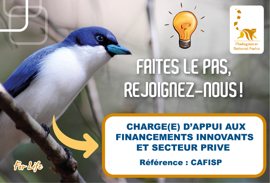 Chargé(e) d’appui aux financements innovants et secteur privé