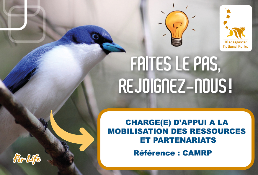 Chargé(e) d’appui à la mobilisation des ressources et partenariats