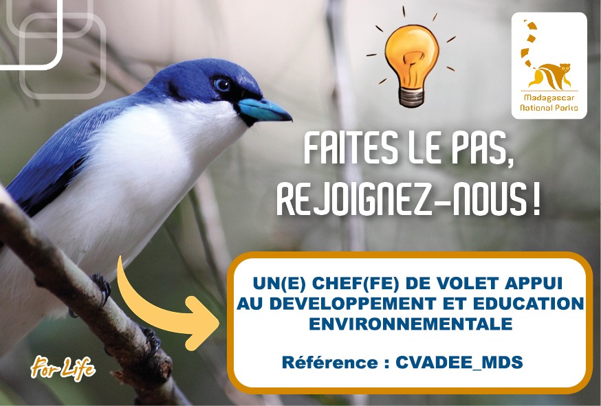 Chef(fe) de Volet Appui au Développement et Éducation Environnementale (Ref: CVADEE_MDS)