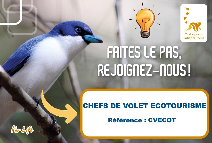 Chef(fe) de Volet Écotourisme