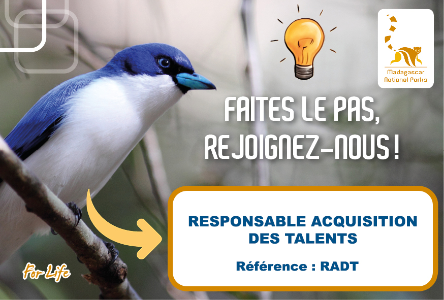 Responsable Acquisition des Talents