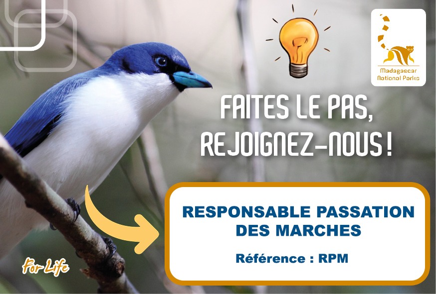 Responsable Passation de Marchés