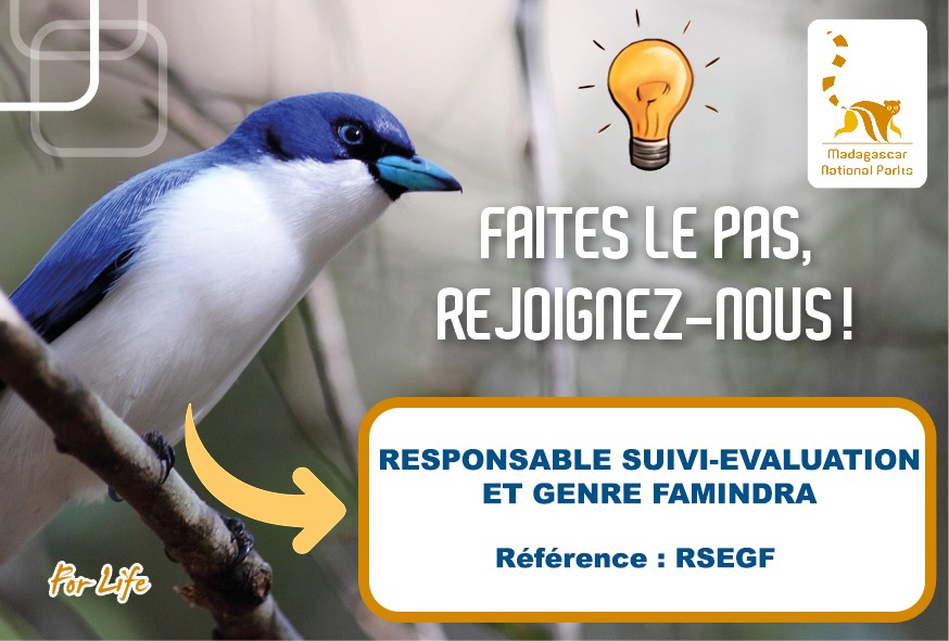 Responsable Suivi‑Évaluation et Genre – Projet FAMINDRA