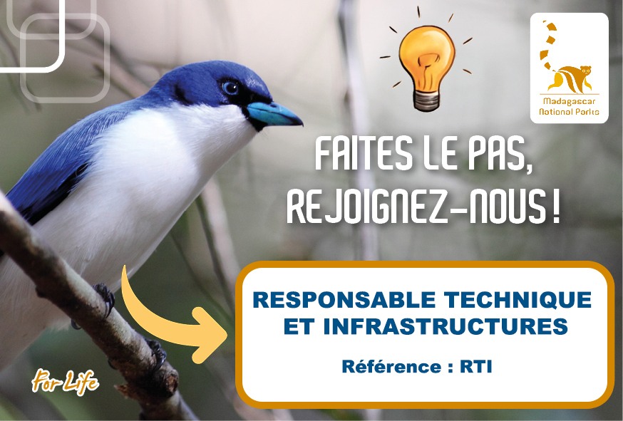 Responsable Technique Infrastructures