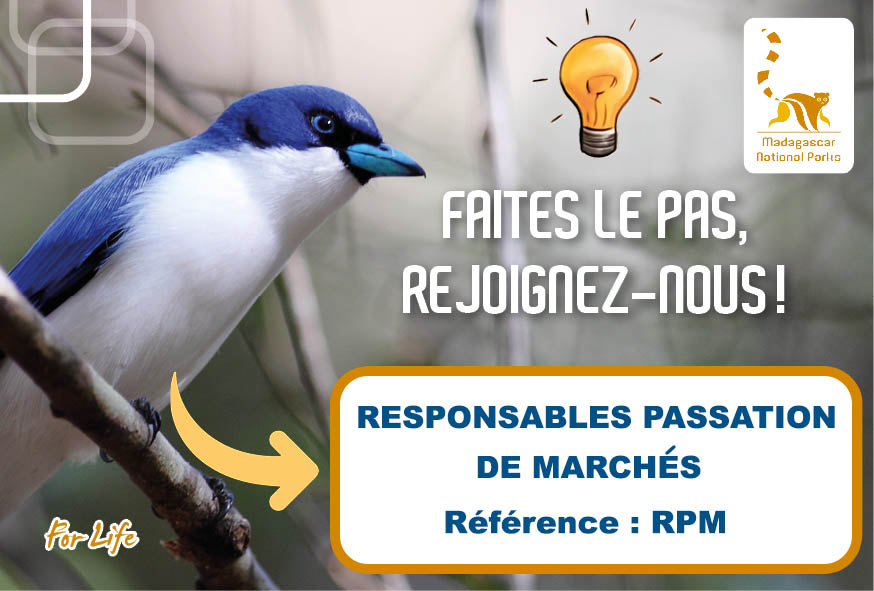 RESPONSABLES PASSATION DES MARCHES (REF : RPM)