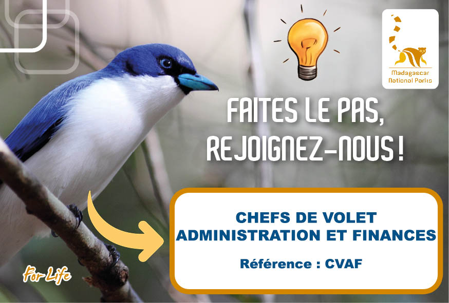 CHEFS DE VOLET ADMINISTRATION ET FINANCES (REF : CVAF)