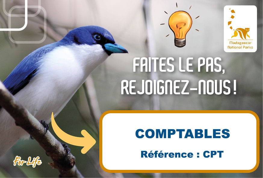 COMPTABLES (Réf : CPT)