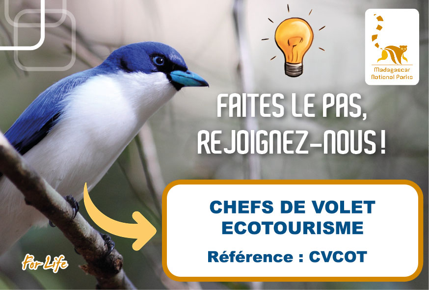 CHEFS DE VOLET ECOTOURISME (Ref: CVECOT)