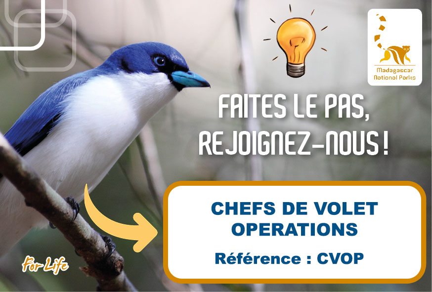 Chefs de Volet Opérations (Réf : CVOP)