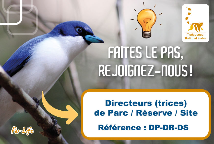 Directeurs / Directrices de Parc, Réserve ou Site (Réf : DP-DR-DS)