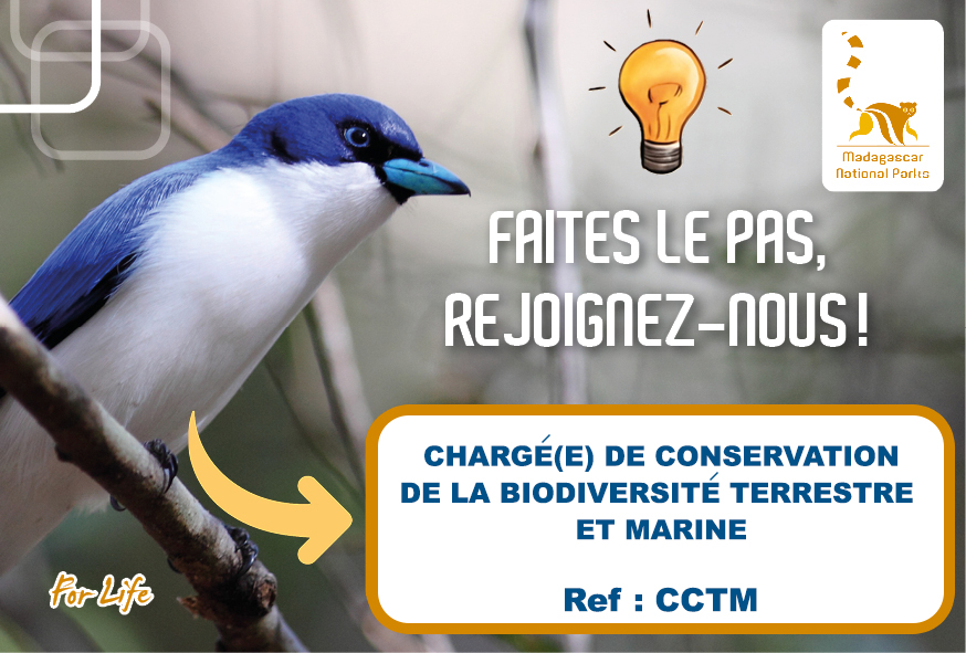 Chargé(e) de Conservation de la Biodiversité Terrestre et Marine (Ref : CCTM)