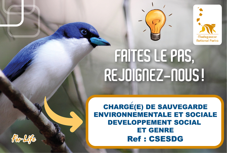 Chargé(e) de Sauvegarde Environnementale et Sociale, Développement Social et Genre (Ref : CSESDG)