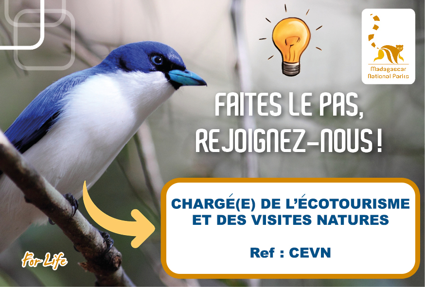 Chargé (e) de l’écotourisme et des Visites Natures (Ref : CVEN)