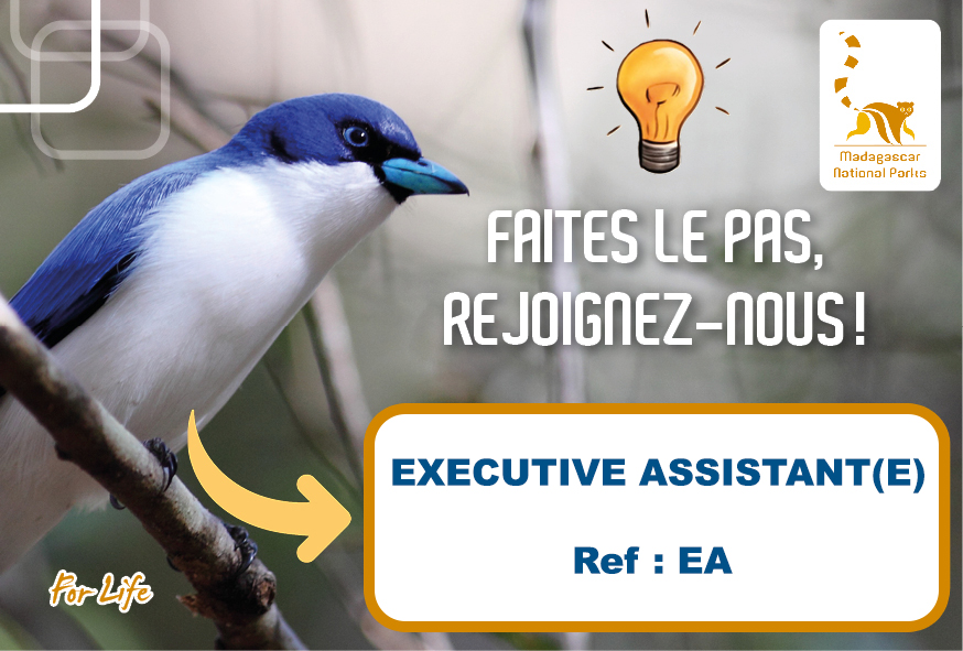 EXECUTIVE ASSITANT(E) (Ref : EA)